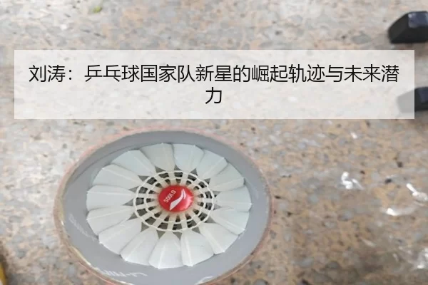 刘涛：乒乓球国家队新星的崛起轨迹与未来潜力