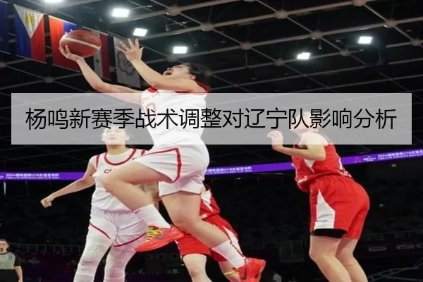 杨鸣新赛季战术调整对辽宁队影响分析